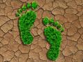Mit einer Reihe von Maßnahmen reduziert die WILD Gruppe ihren ökologischen Fußabdruck