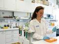 Neue „Entscheidungshilfe“ für CRISPR-Immunantwort