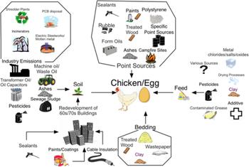 Las principales vías de exposición de los pollos a los PCDD/FS y PCB