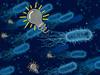 Neue Biobatterien nutzen bakterielle Interaktionen zur wochenlangen Stromerzeugung