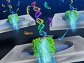 Nachweis von Krebs-Biomarkern aus Blutproben mittels DNA-Computing-Technologie auf Nanoporenbasis