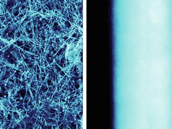 Izquierda: Imagen de microscopía electrónica de barrido de la red CuNW en una superficie rociada con cobre. Derecha: Imagen de cerca del nanohilo de CuNW, que tiene unos 60 nm de diámetro, aproximadamente 100 veces más pequeño que un cabello humano.