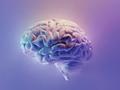 Las células de los tumores cerebrales invaden el cerebro como jinetes libres neuronales