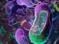 L'ingénierie du microbiome pour guérir les maladies