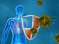 Angeborenes Immunsystem: Der letzte Schliff für die Bakterienabwehr