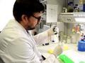 Mikrobielle Biofabriken für die Herstellung von Naturstoffen zur Verwendung in Medizin, Kosmetik und Lebensmitteln