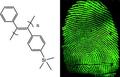 Fluorescent fingerprints