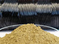 Forscher wollen Carbonfasern aus Lignin zur Marktreife bringen