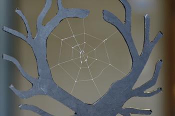 Spinnennetz aus biotechnologisch hergestellten Spinnenseidenproteinen