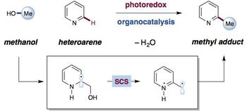 organocatalysis alkylation agent