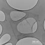 graphene