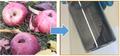 kohlenstoffbasierte Material für Natrium-Ionen-Batterien aus Äpfeln