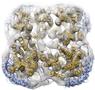 New nanoparticle technology to decipher structure and function of membrane proteins