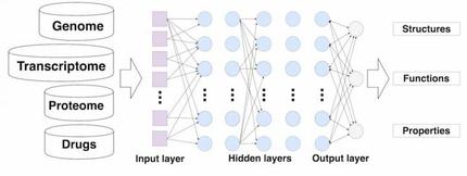 Deep Learning Applied To Drug Discovery And Repurposing