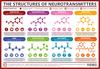 A Simple Guide to Neurotransmitters