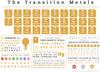Transition Metals - Element Infographics
