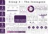 Group 3 Elements - Element Infographics