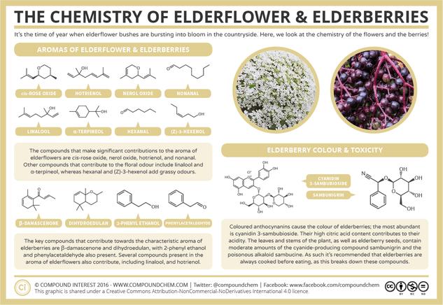 The Chemistry of Elderflowers & Elderberries - Aroma, Colour, & Toxicity