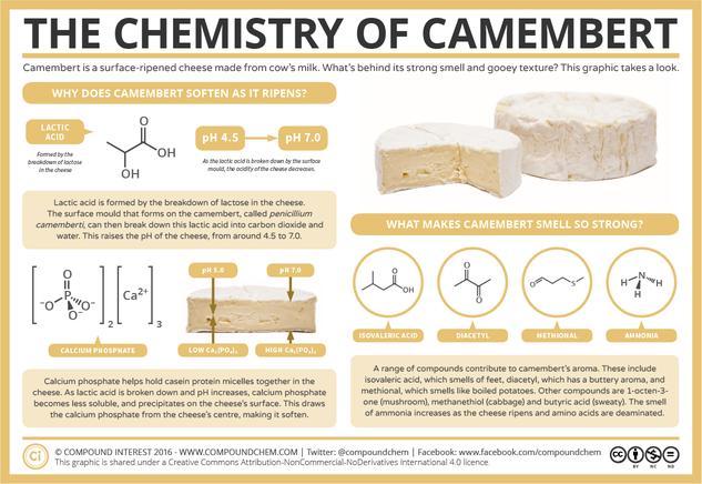 The Chemistry of Camembert