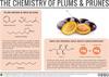 The Chemistry of Plums & Prunes