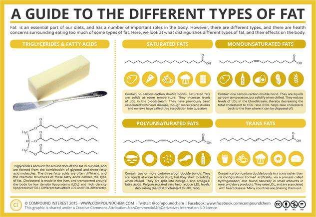 A Guide to the Different Types of Fat