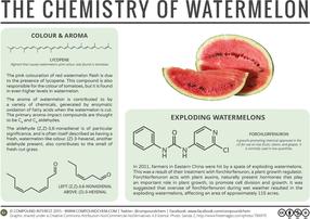 The Chemistry of Watermelons