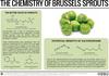The Chemistry of Brussels Sprouts