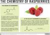 Raspberries, Weight Loss, & The Galaxy