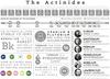 The Actinides - Element Infographics