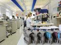 Antibiotika-Resistenzen: Laborärzte warnen vor Fokussierung auf Schnelltests