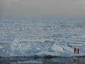 Neue Studie beziffert persönlichen Beitrag zur Eisschmelze in der Arktis