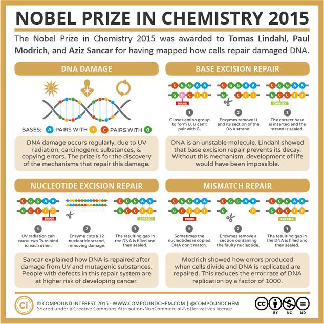 The 2015 Nobel Prize in Chemistry: DNA-Repair