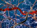 New, ultra-flexible probes form reliable, scar-free integration with the brain