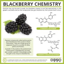 The Chemistry of Blackberry Colour