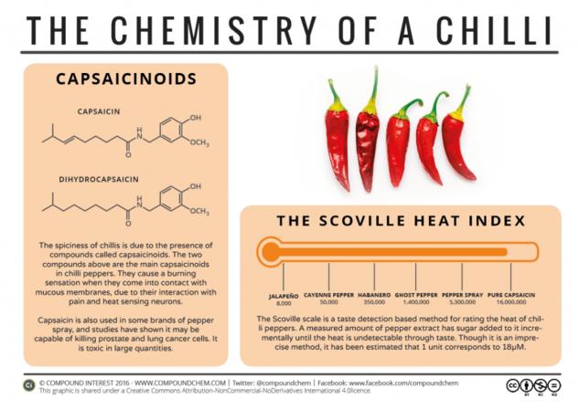 Why Chilli Peppers are Spicy: The Chemistry of a Chilli