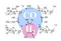 Multifunctional catalyst for poison-resistant hydrogen fuel cells