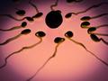 Researchers discover new genetic mutation that causes male infertility