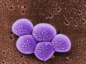 List of superbugs cdc image