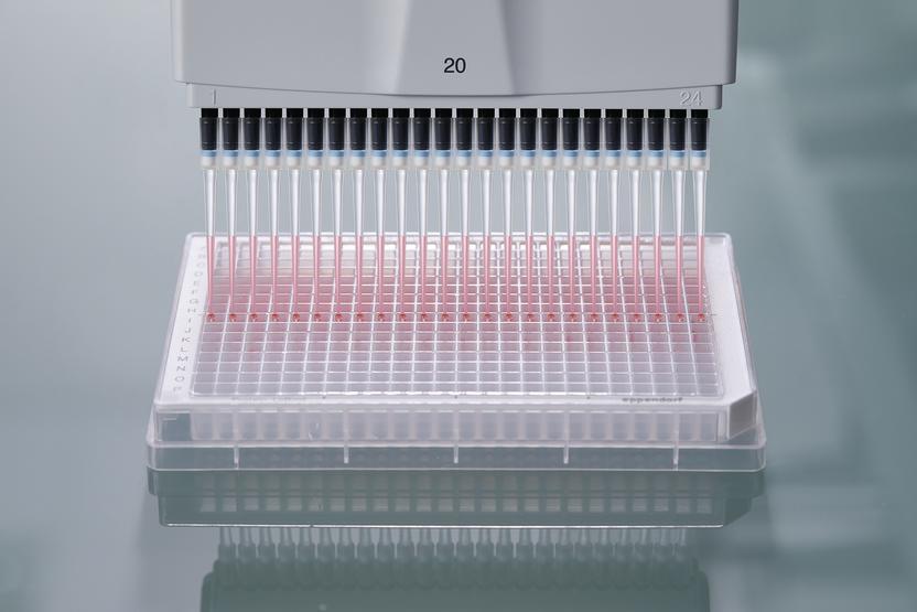 Manual Pipetting of 384 Well Plates Made Easy New multichannel