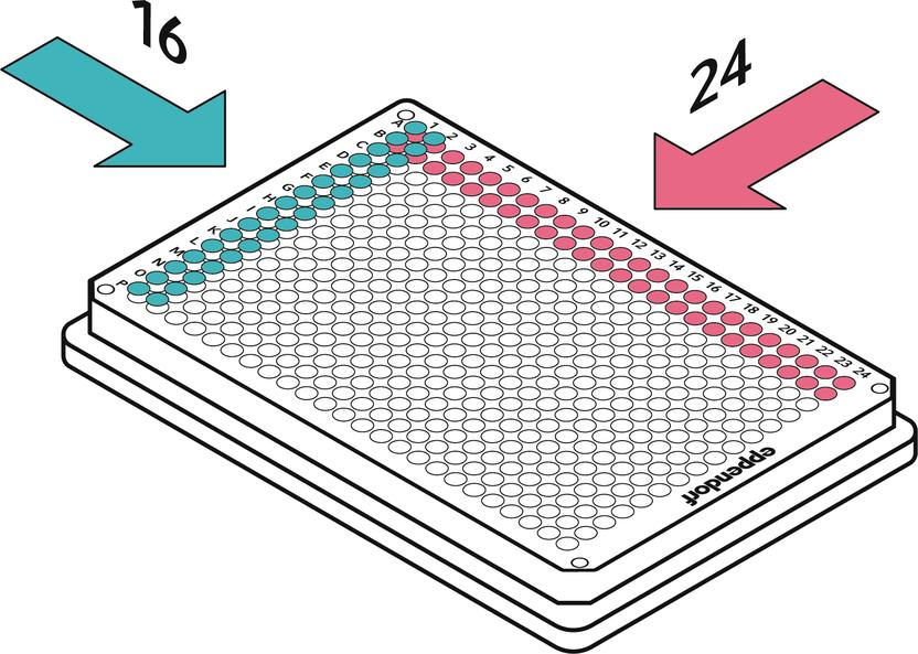 Manual Pipetting of 384 Well Plates Made Easy New multichannel