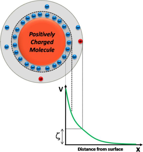 Zeta Potential Analyzer MOBIUS for Proteins Fragile Particle