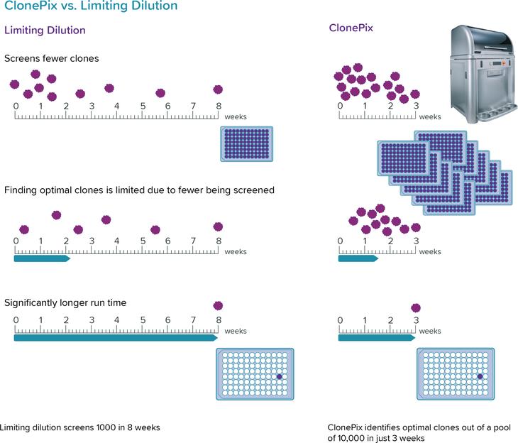serial cloner new sequence from digestion product