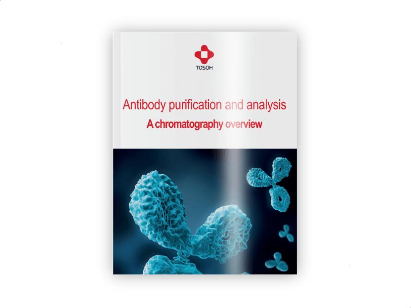 How to purify and analyze your antibodies efficiently All the