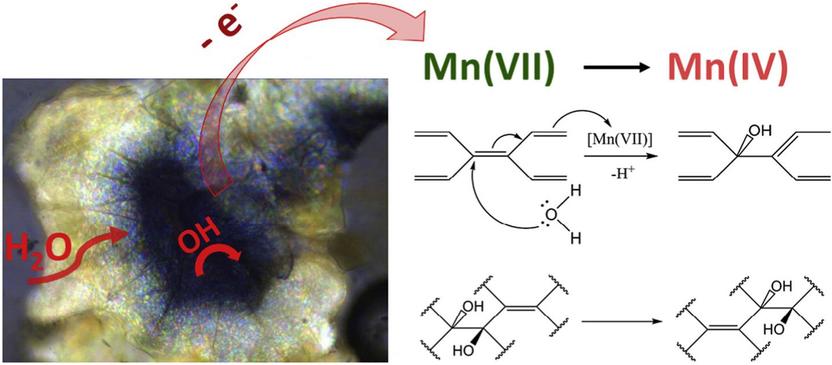 Mysterious Mechanism Of Graphene Oxide Formation Explained