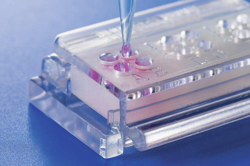 Biomaterial in vitro testing 2.0 standardized, quantitative, resourcesaving An innovative