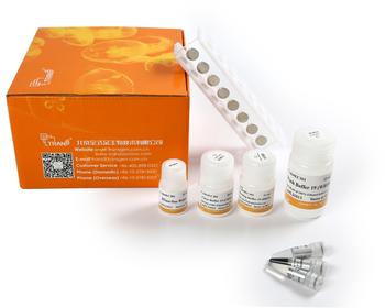 Ec301 essay 08 picture