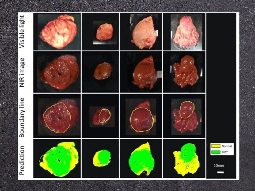 Visi N Profunda Las Im Genes En El Infrarrojo Cercano Y El Aprendizaje Autom Tico Pueden