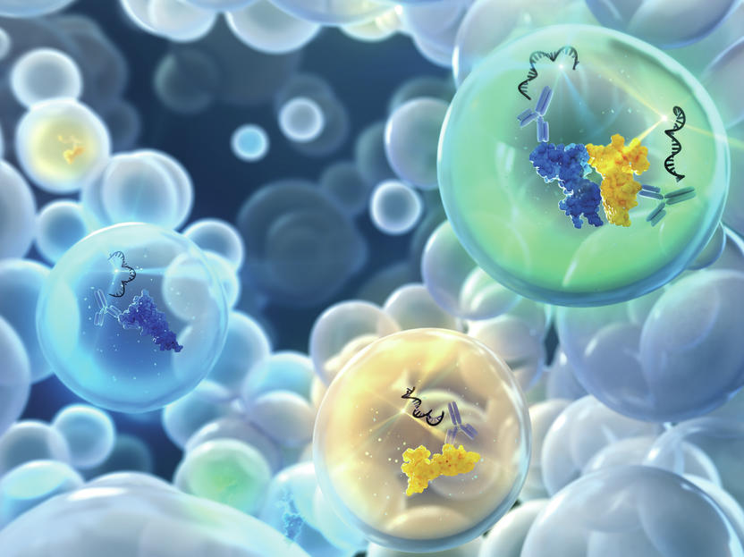 Proteine und Protein‐Interaktionen mit bisher nicht gekannter Sensitivität und Spezifität quantitativ messen - Vimarsana News