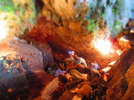 25.000 Jahre altes menschliches Umweltgenom wiederhergestellt - Vimarsana News