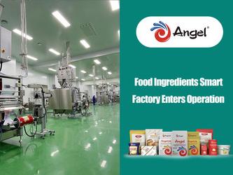 Die neue Smart Factory für Lebensmittelzutaten von Angel Yeast nimmt ihren Betrieb auf